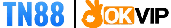 tn888.net